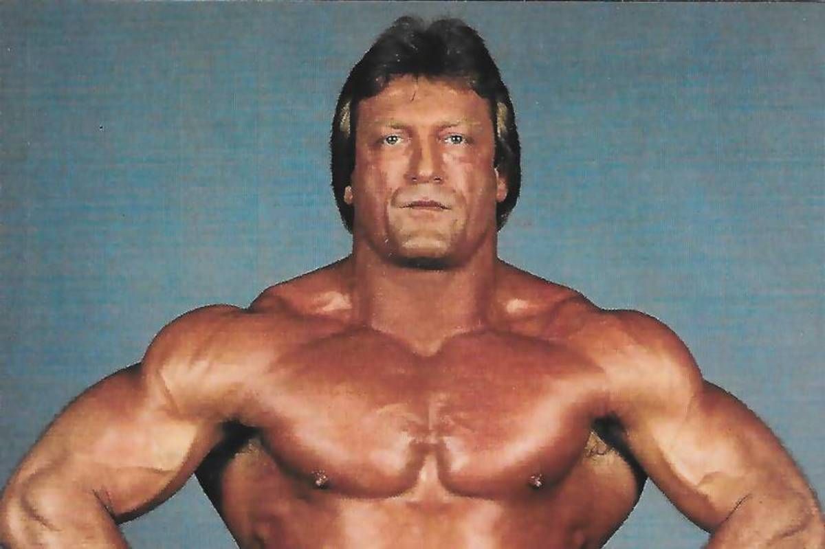 Paul-Orndorff - Copy