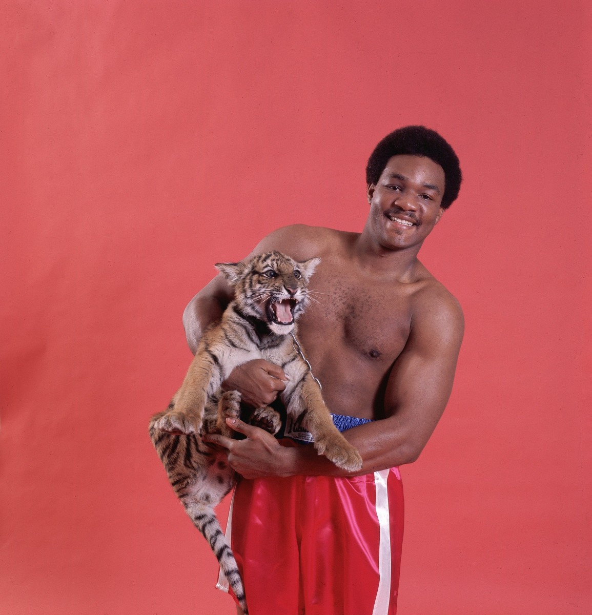 george-foreman-baby-tiger