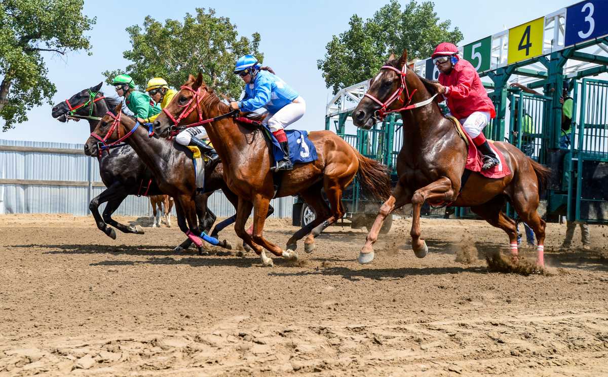 Watch 155th Belmont Stakes Stream horse racing live, TV channel How