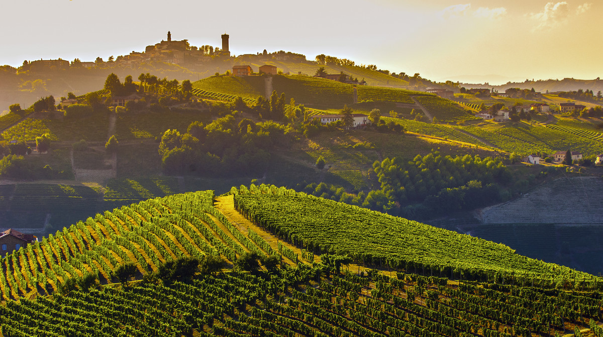 3_Piemonte_vigneti canelli