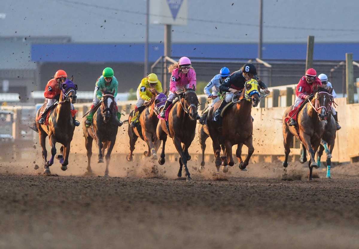 Watch Breeders' Cup Challenge Series: Stream Horse Racing live - How to Watch and Stream Major League & College Sports - Vimarsana News