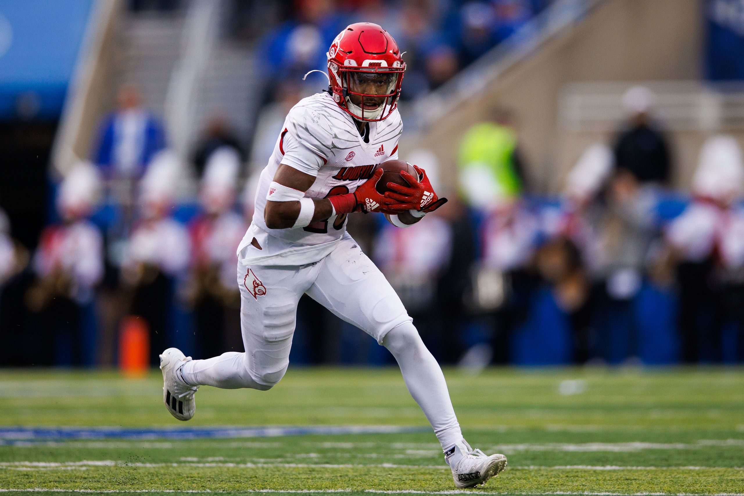 Final Thoughts and Observations on Louisville Football vs. Kentucky - Sports Illustrated Louisville Cardinals News, Analysis and More - Vimarsana News
