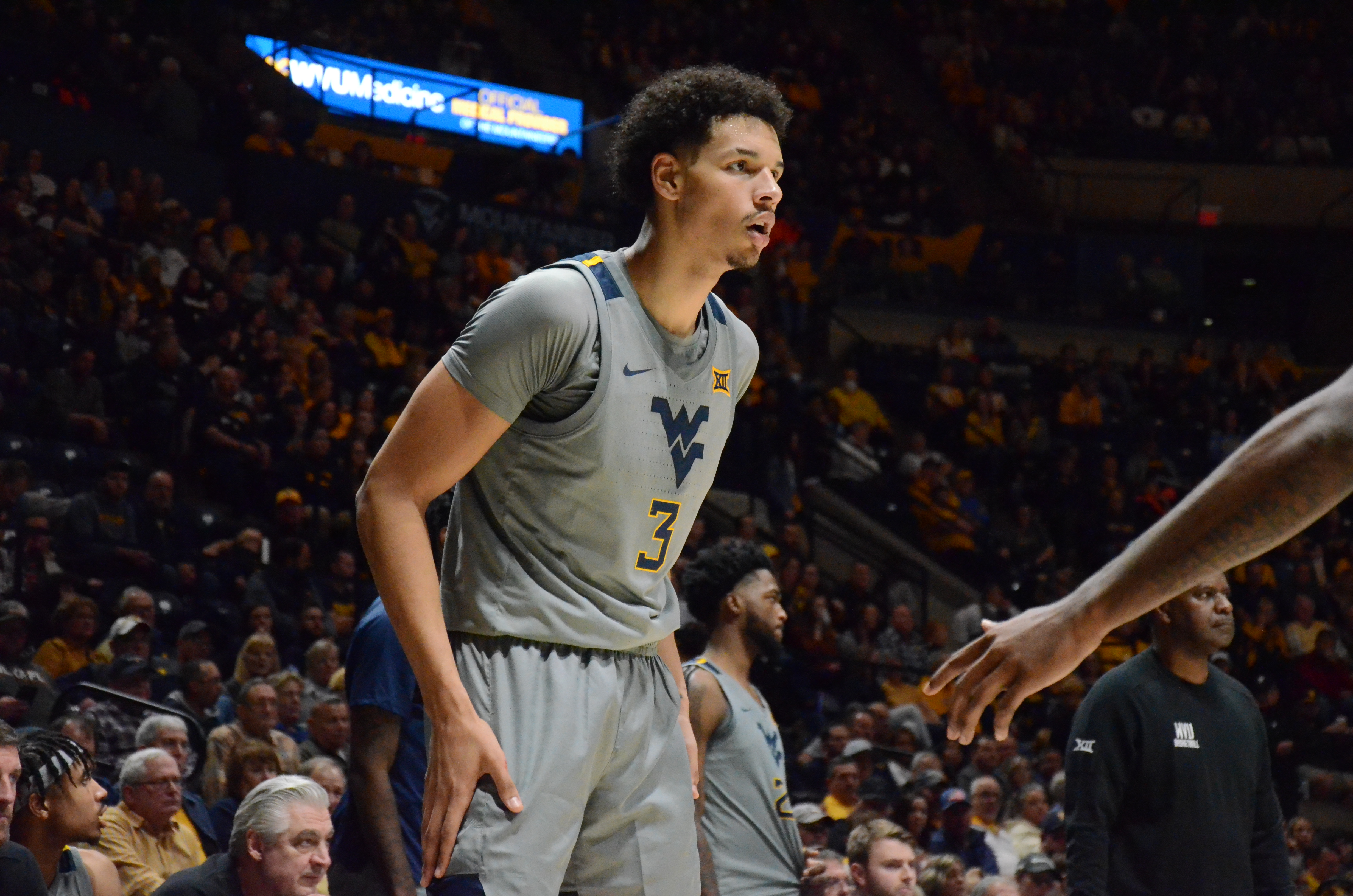 Spread & Over/Under Predictions for WVU vs Stony Brook Sports