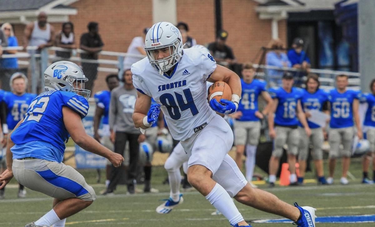 Seminoles pushing for Kyle Morlock as second tight end transfer in 2023 class - Vimarsana News