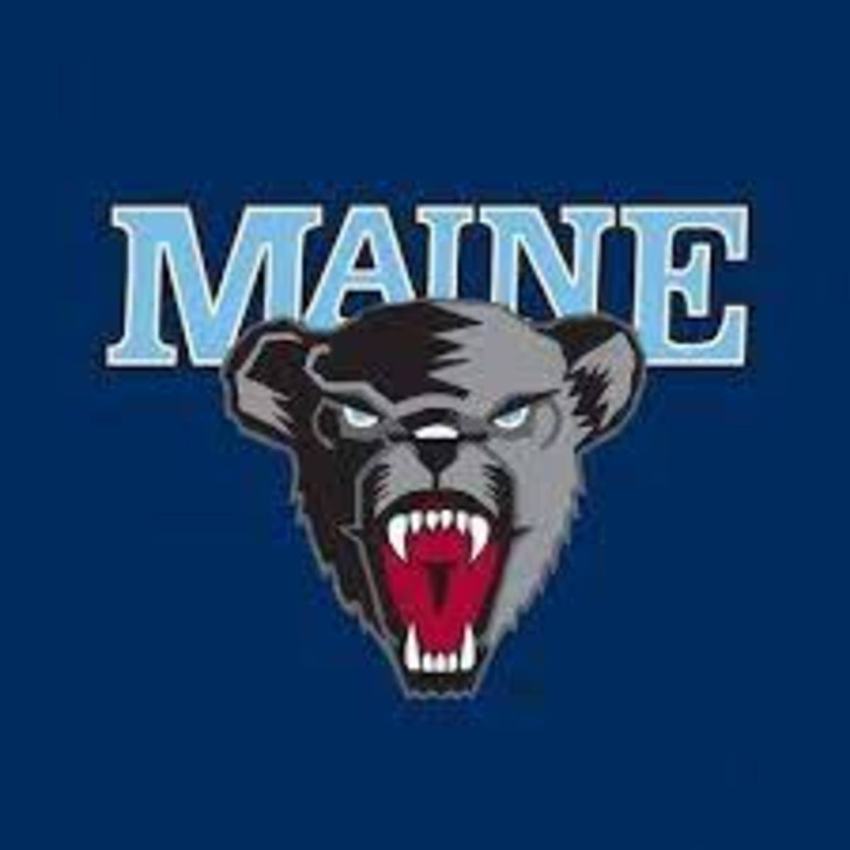 maine black bears.jfif