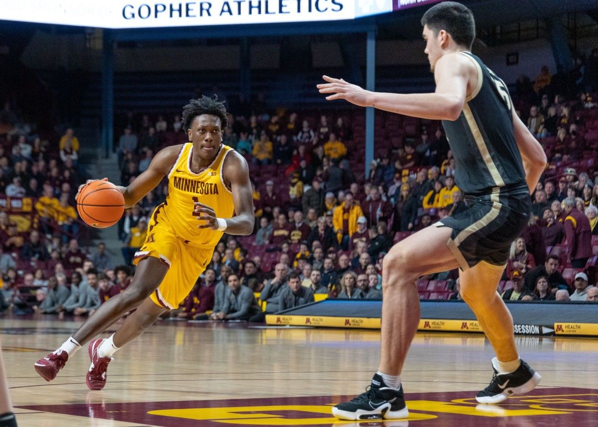zach edey defense at minnesota