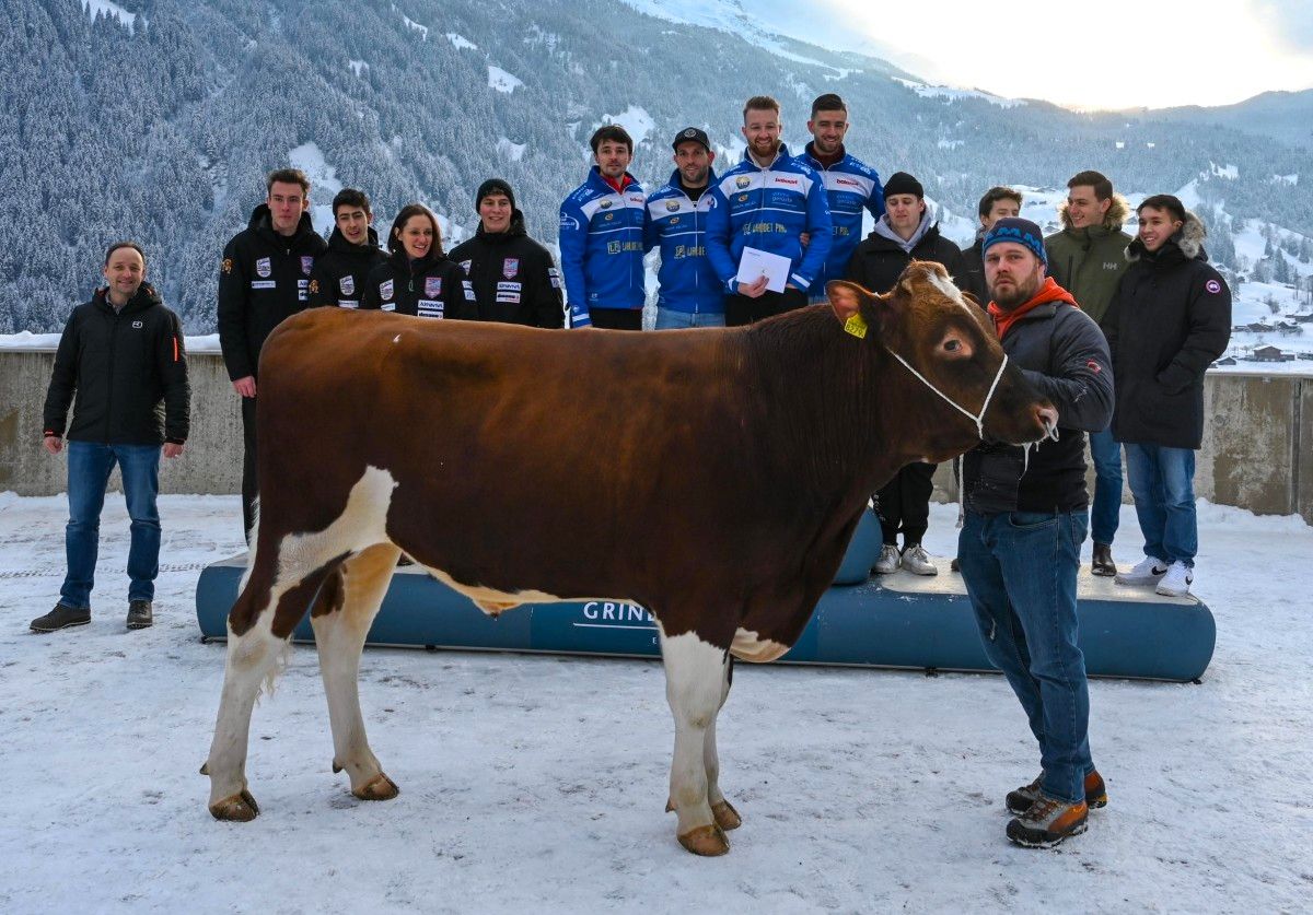 The Curling Of The Bulls - Vimarsana News