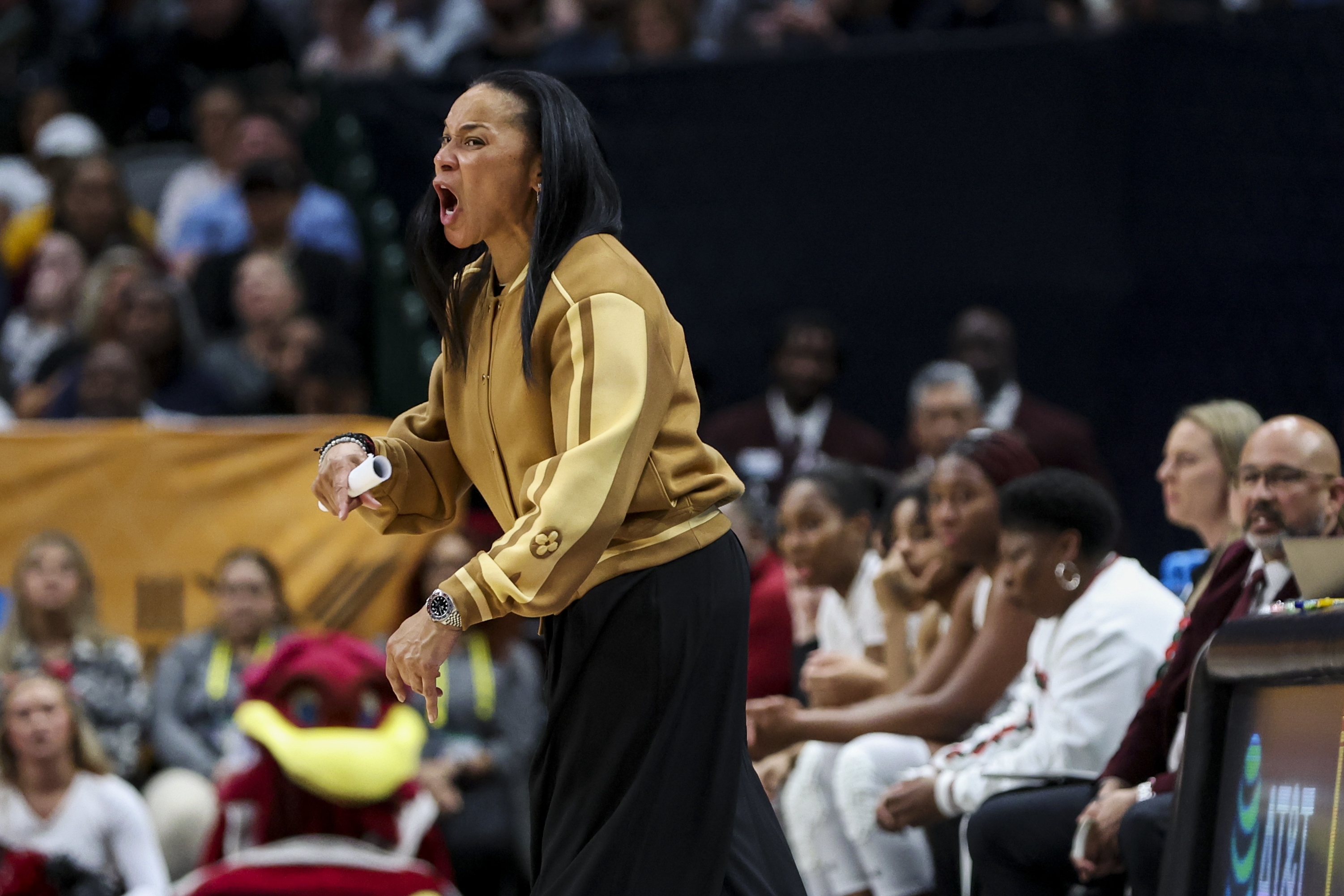 Dawn Staley Celebrates on Sideline After Big South Carolina Touchdown -  Sports Illustrated