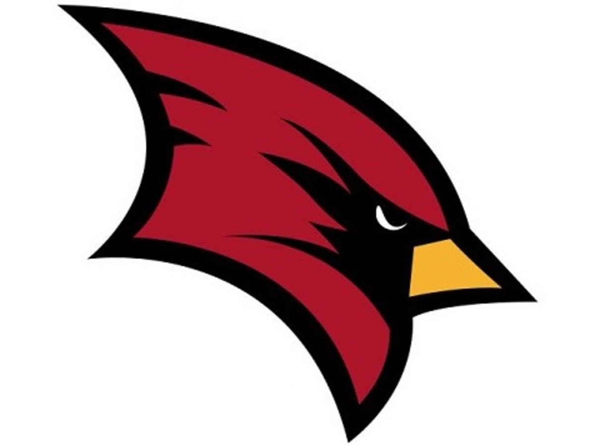 saginaw valley state logo