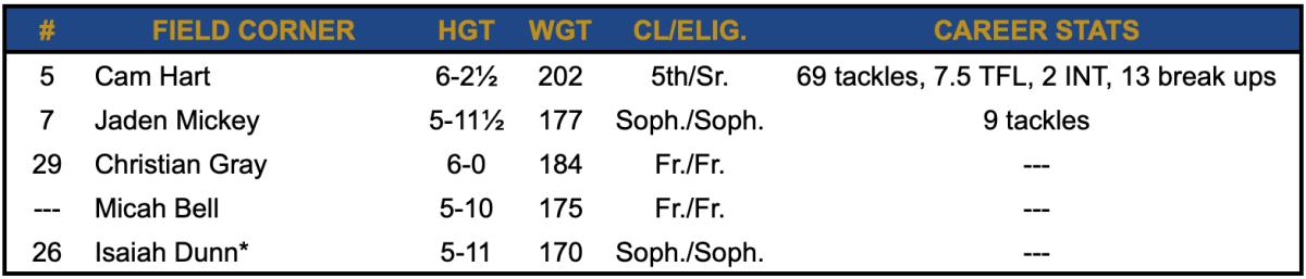 2023 Field Corner Depth Chart