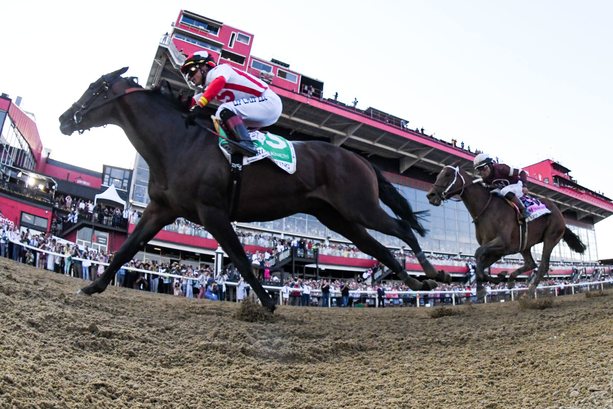 Preakness 2023 Preview, Betting Analysis FanNation A part of the