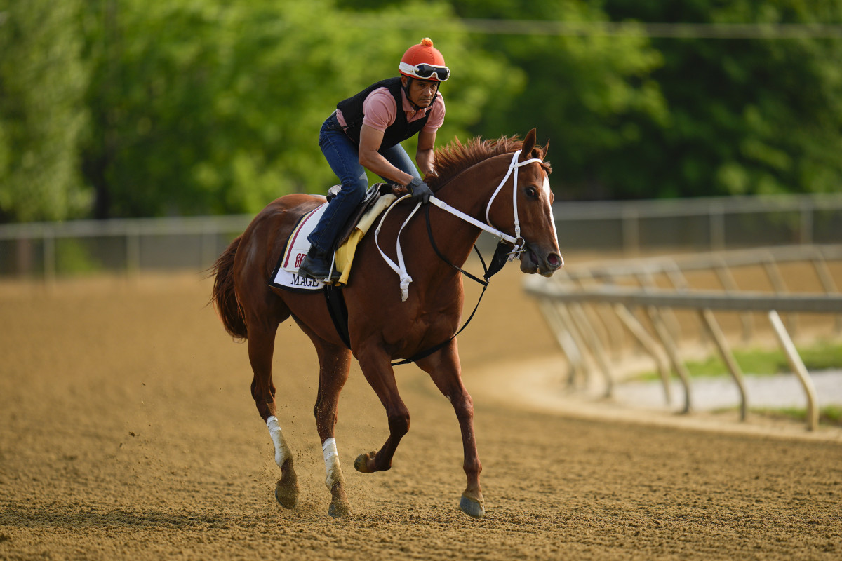 Kentucky Derby winner Mage works out ahead of the Preakness Stakes.