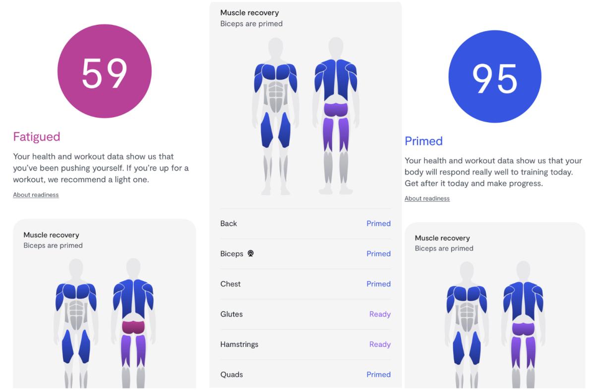 A screenshot of the Tempo app, showing scores for fatigue and body readiness for exercise, including three charts highlighting different muscle groups.