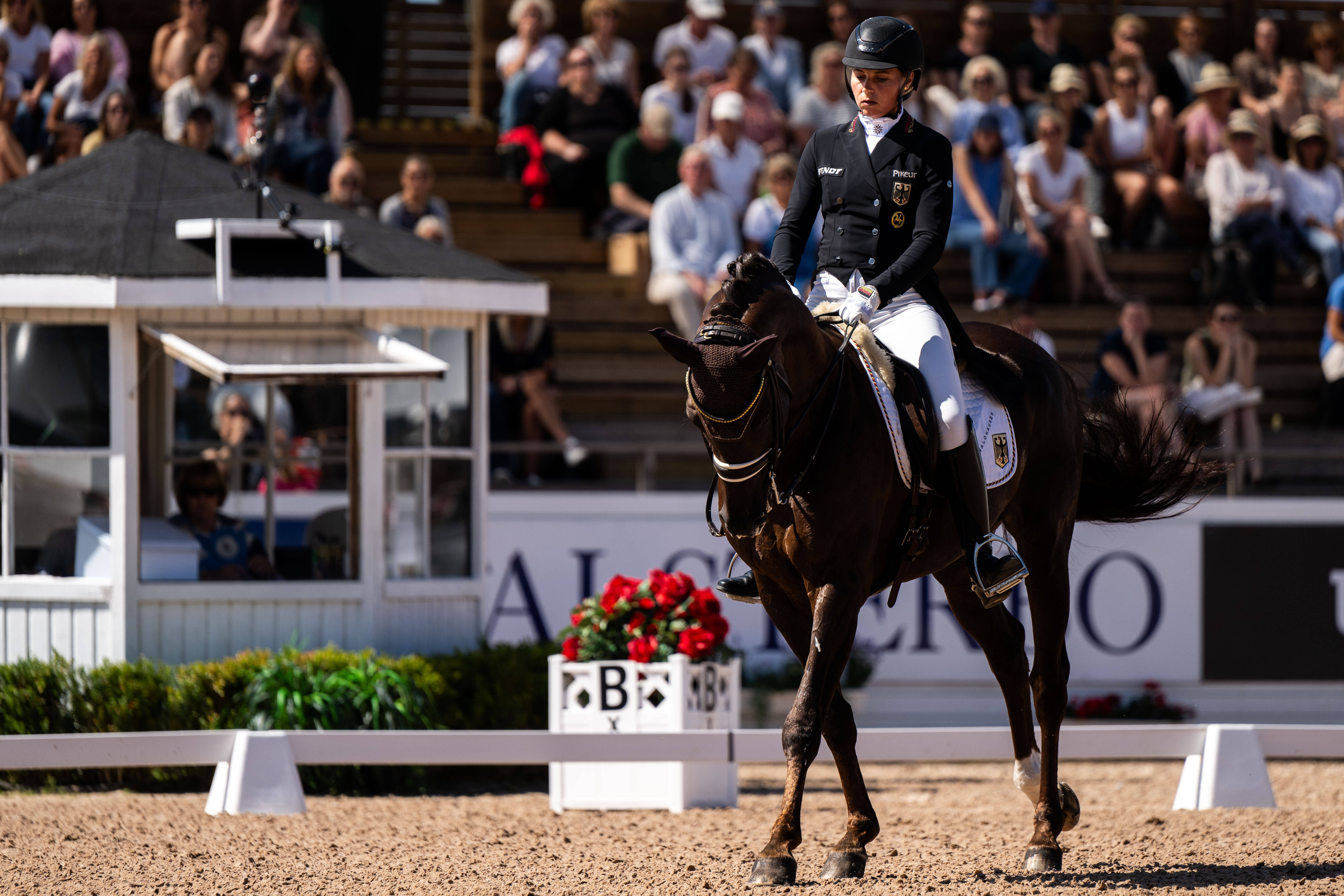 The Equestrian Cup, Grand Prix Montblanc Free Live Stream Online - How to Watch and Stream Major League and College Sports