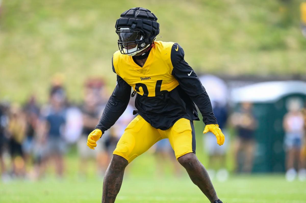 NFL Fines Pittsburgh Steelers LB Kwon Alexander Sports Illustrated