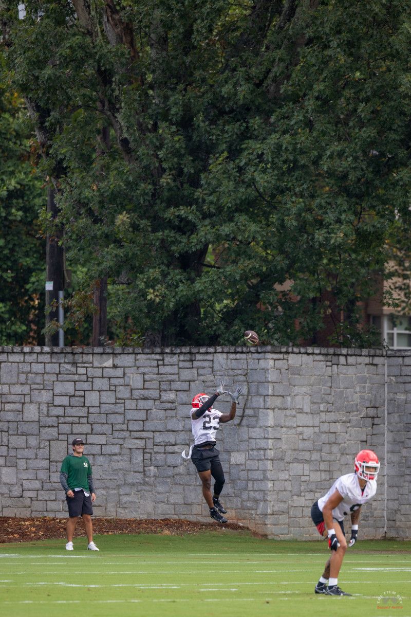 UGA DB, Tykee Smith