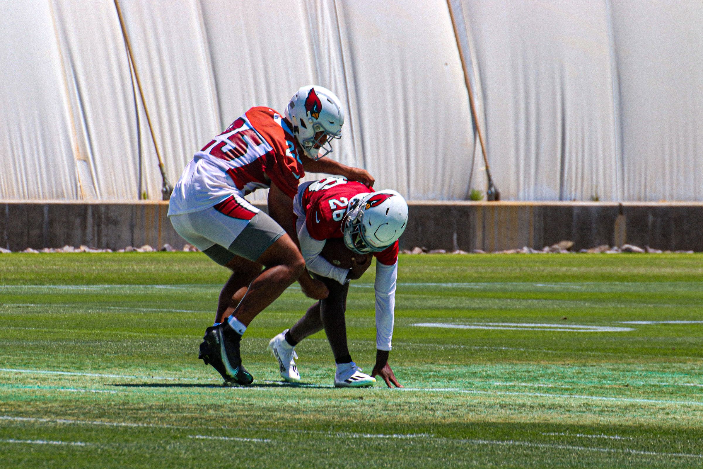 Where the Cardinals See Opportunities at OTAs; 'You Can Experiment' - Vimarsana News