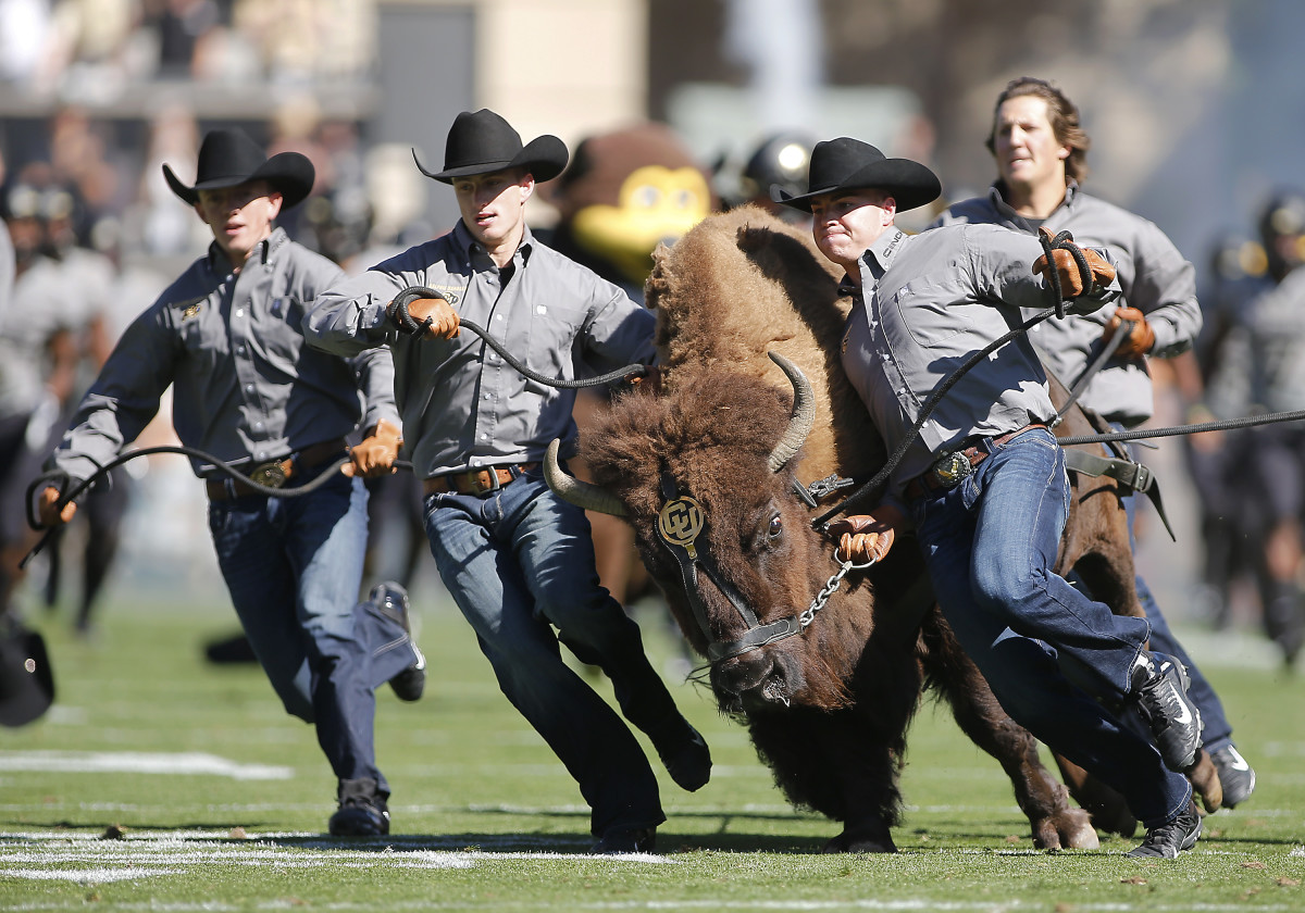 Sep 14, 2019; Boulder, CO, USA; Ralphie, the Colorado Buffaloes mascot runs around the field prior to a game against the Air Force Falcons at Folsom Field.