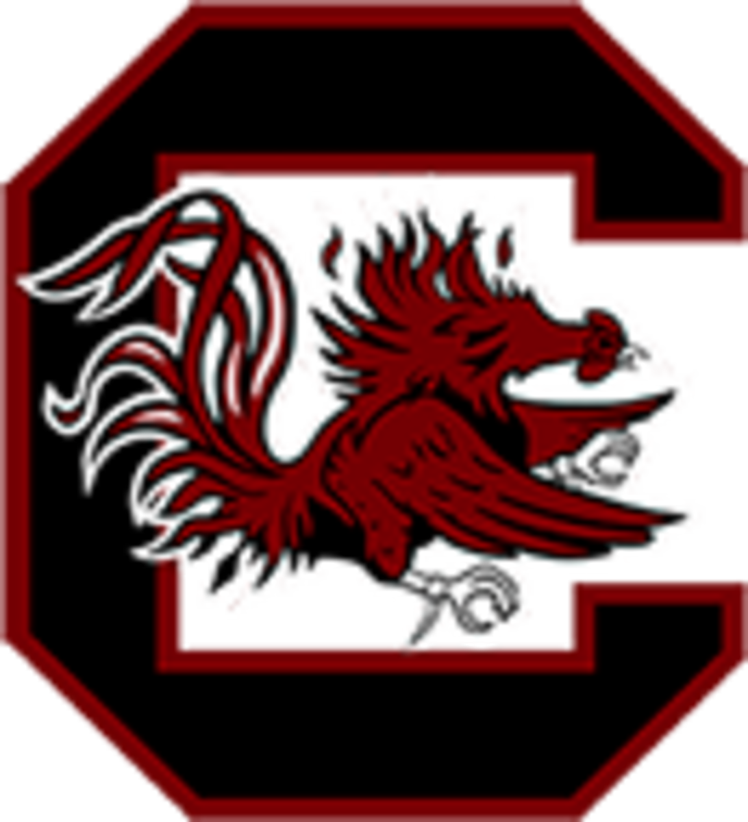 South Carolina Logo