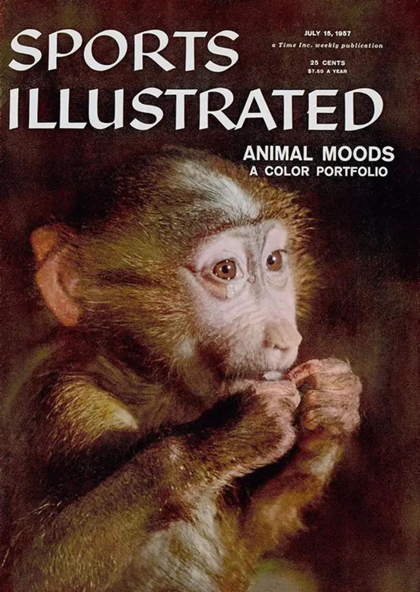 Sports Illustrated cover featuring a baboon