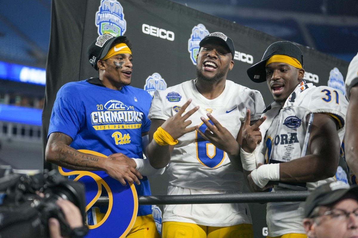 The Pitt visual data 4