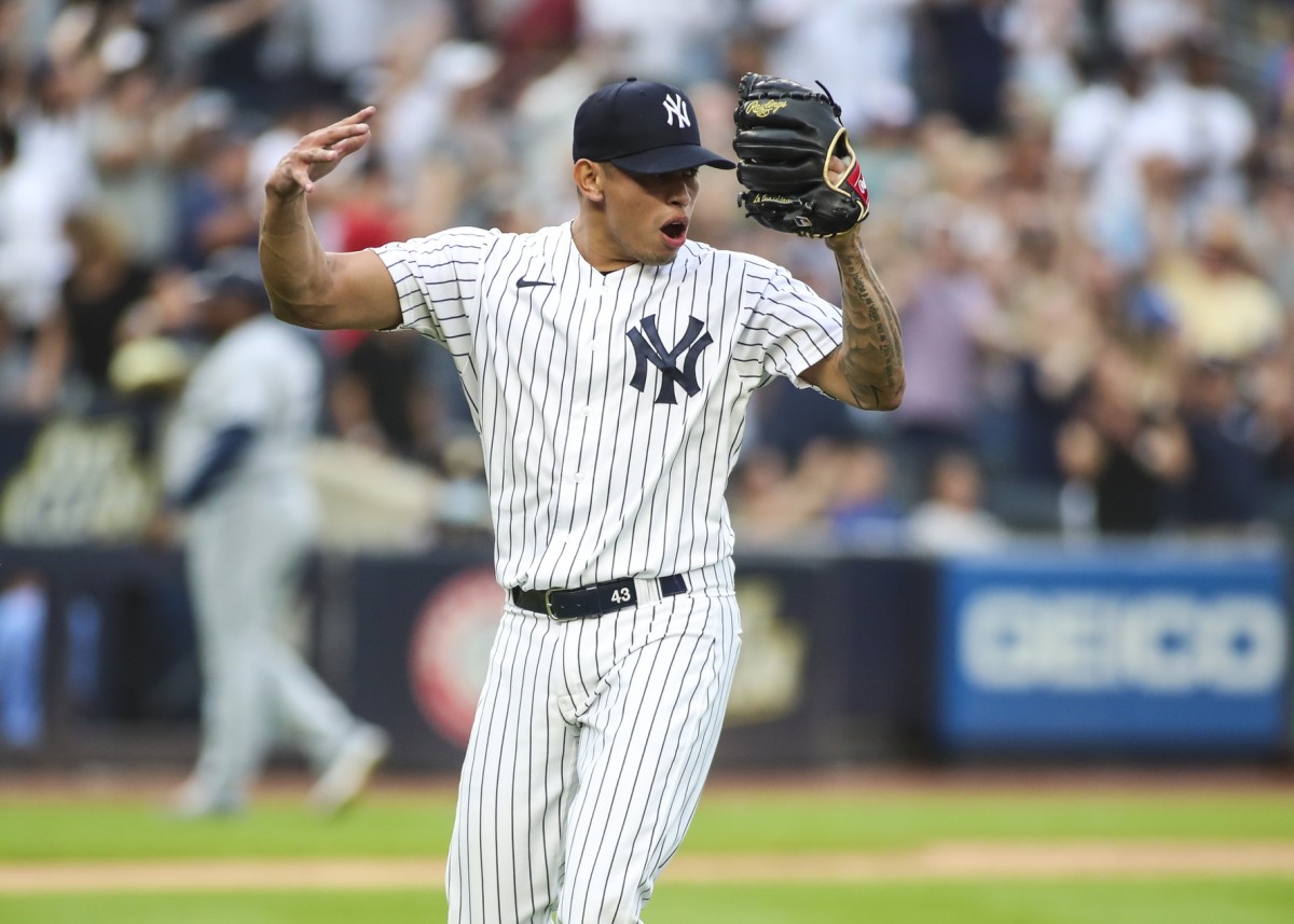 New York Yankees RP Jonathan Loaisiga reacts on the mound