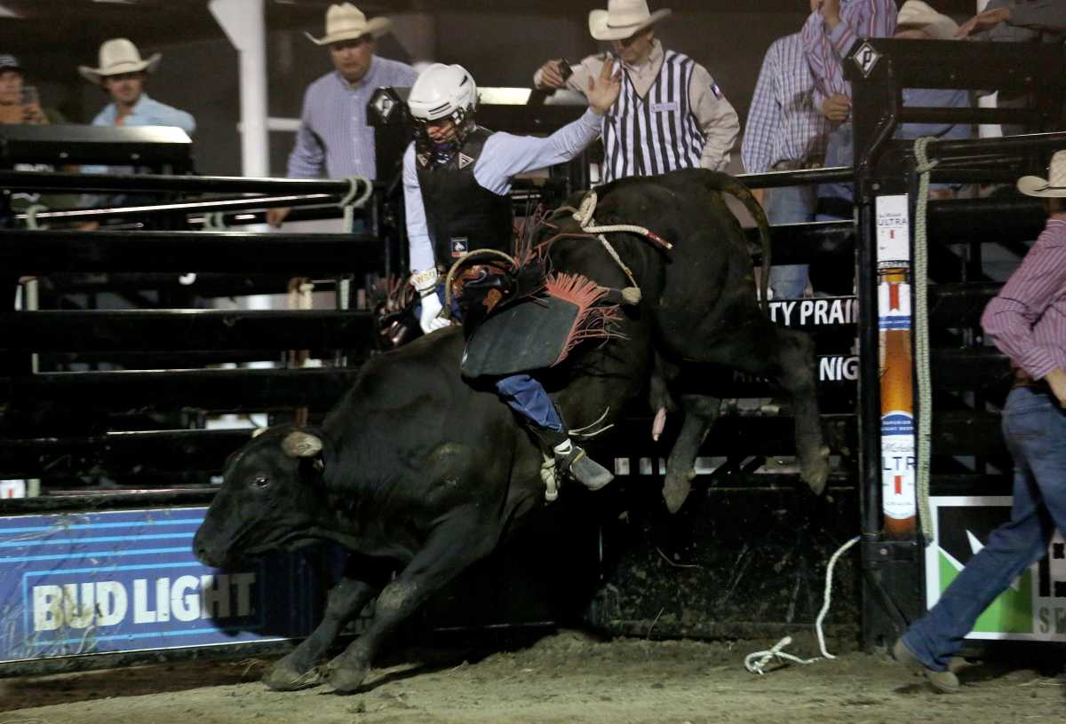 PBR Team Series Cheyenne stream Watch online, TV channel How to