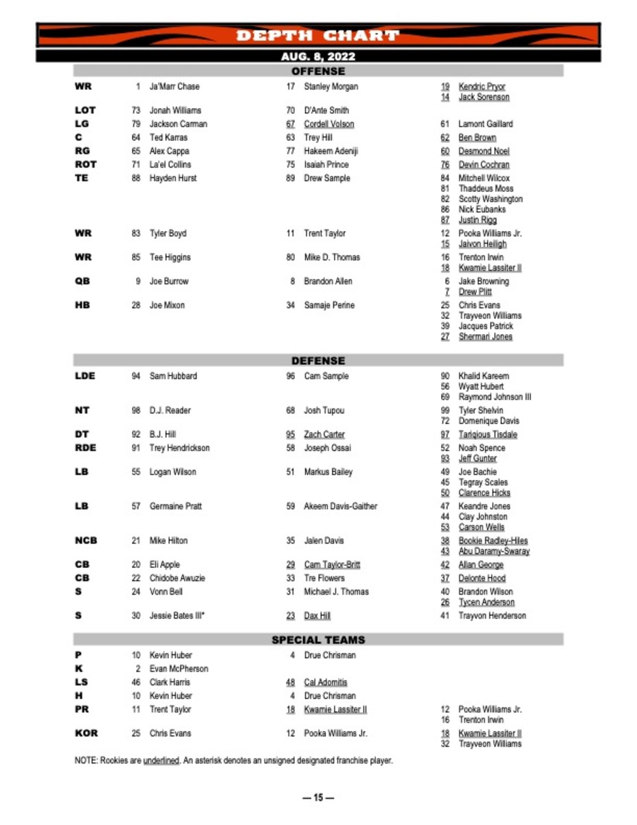 cincinnati bengals roster