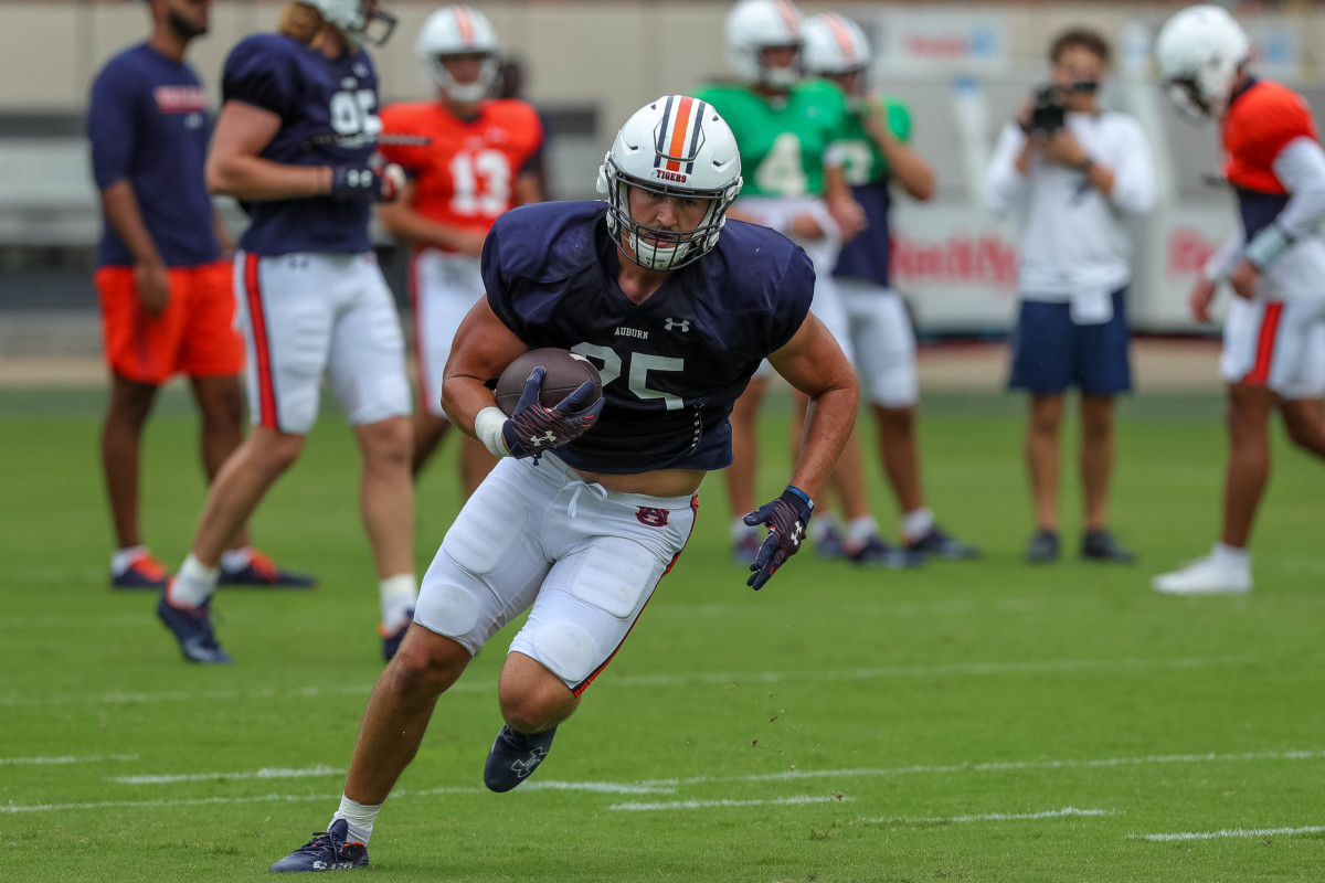 What Vegas says about Auburn's season opener against Mercer - Sports