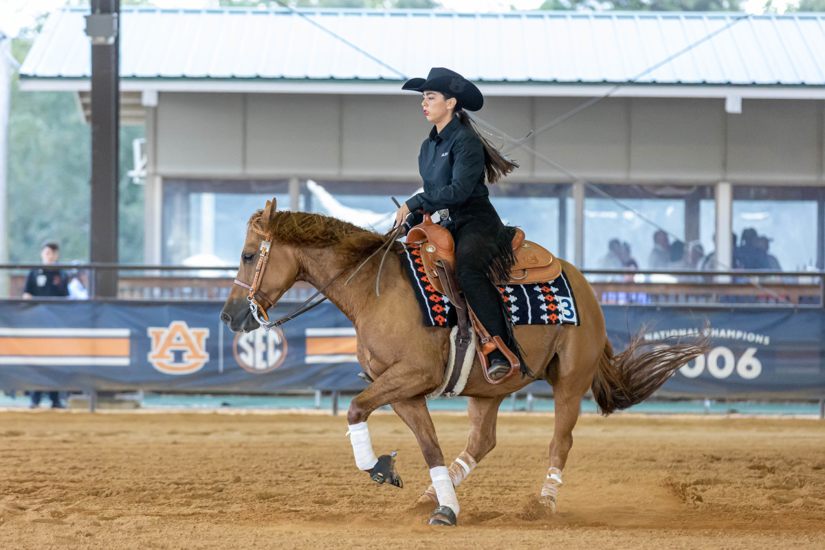 Olivia Marino of Auburn Equestrian