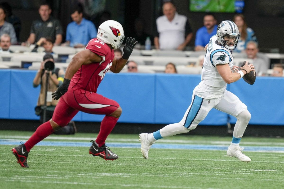 Arizona Cardinals Week 4 Grades Vs Carolina Panthers Sports 