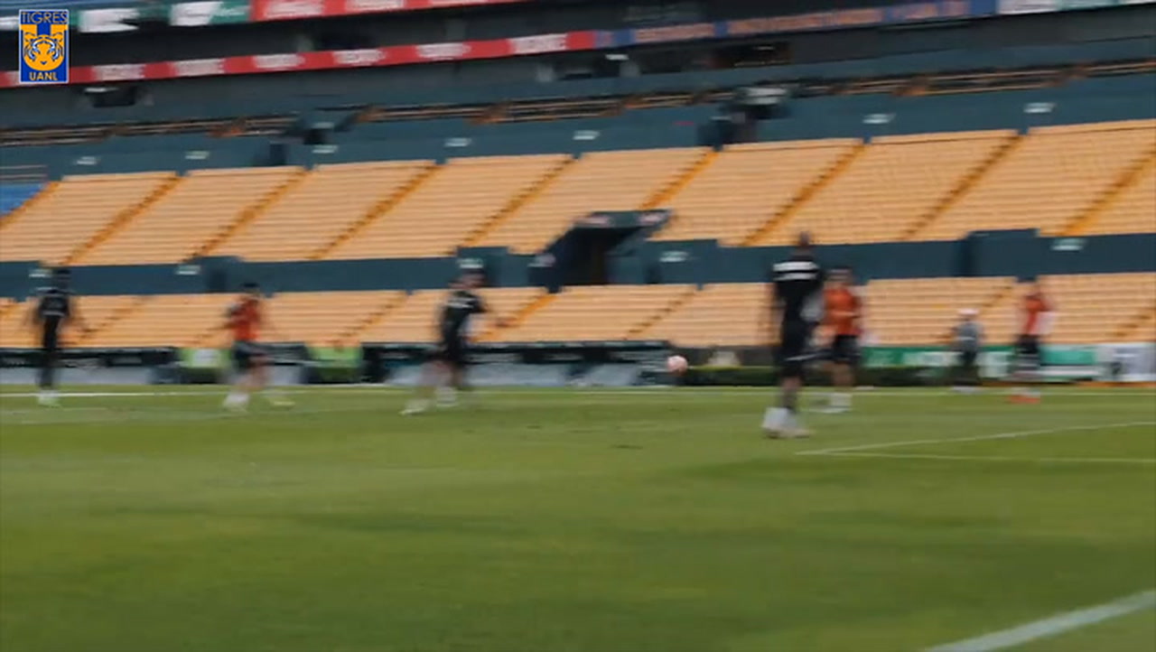 Tigres prepare for play-off vs Necaxa - Soccer - OneFootball on Sports