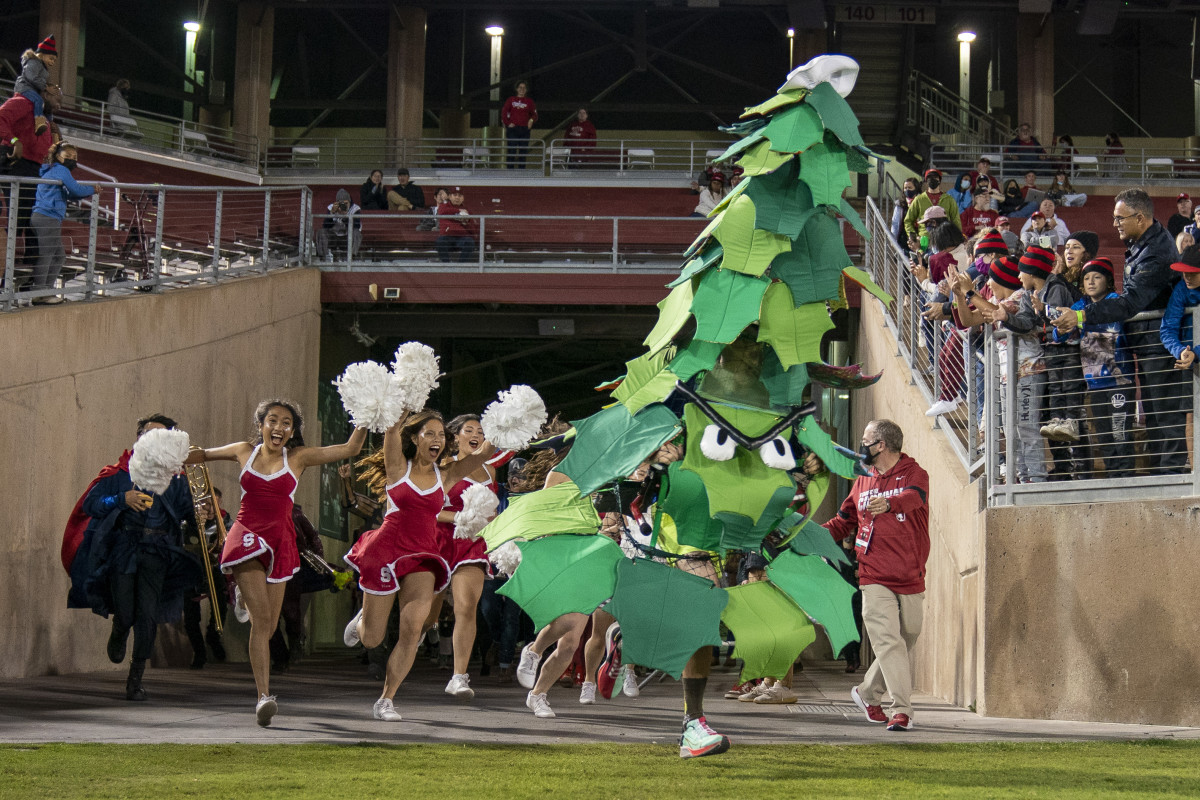 Stanford, California, USA; The Stanford Cardinal Tree and band run out onto the field before a game against the Washington Huskies at Stanford Stadium.