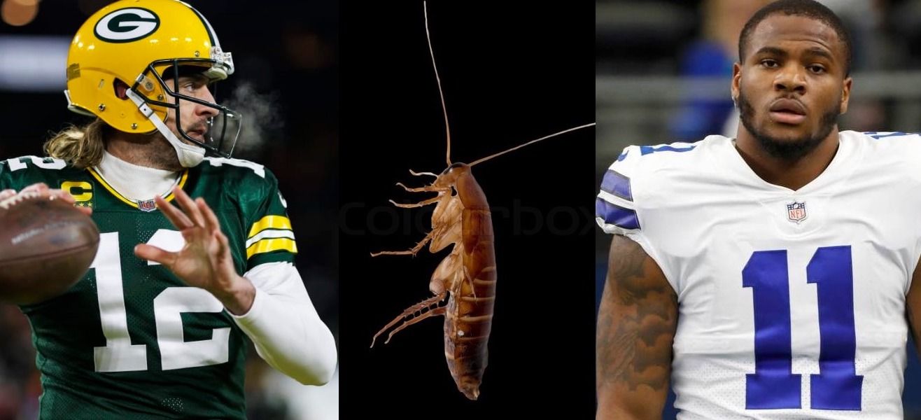 roach-roach.jpg