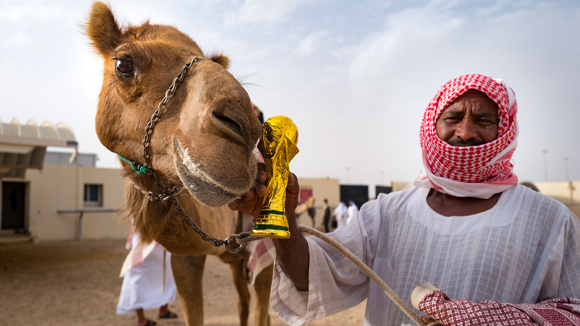 The World Cup Is Here, but Qatar Has an Older Pastime Camel Racing TrendRadars