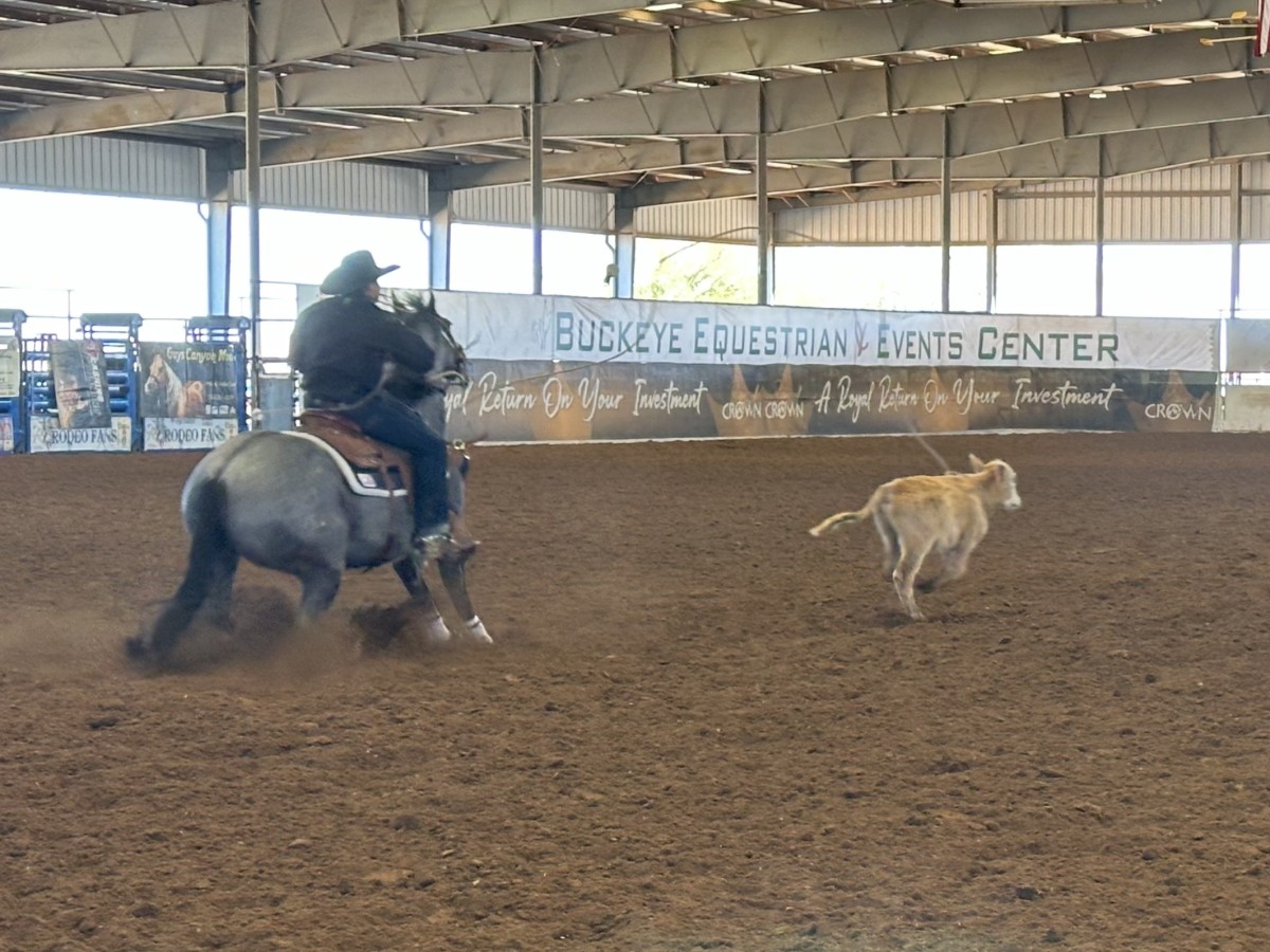 Kala'i Nobriga and Betty Blu in the Royal Crown 6 & Under Calf Roping Futurity at Arizona's Buckeye Equestrian Center.