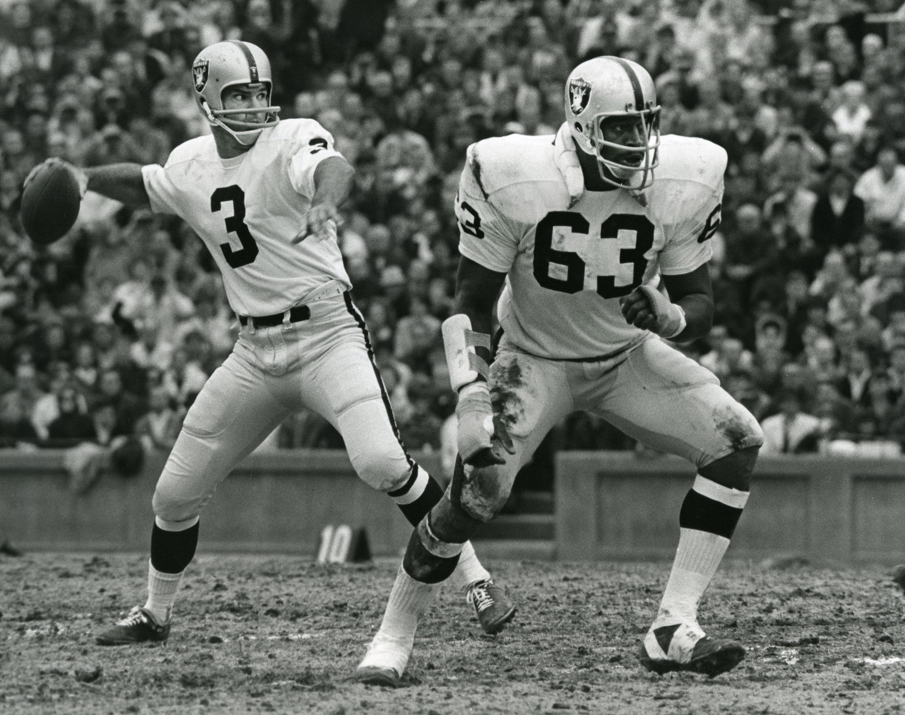 Raiders' Icon Gene Upshaw transformed the National Football League on and off the field.