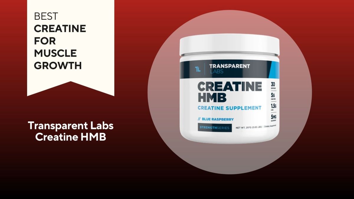 Transparent Labs blue raspberry flavored Creatine HMB Supplement in a white plastic tub with black and blue lettering