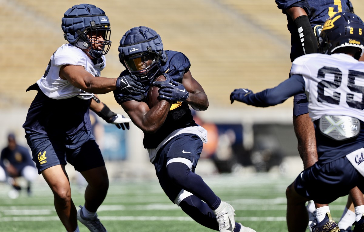 Newcomer Isahai Ifanse finds an opening during Cal's scrimmage.