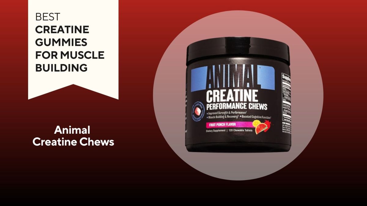A red background with a white banner that says, "Best Creatine Gummies for Muscle Building" next to a black, pink, and blue container of Animal Creatine Chews in Fruit Punch flavor