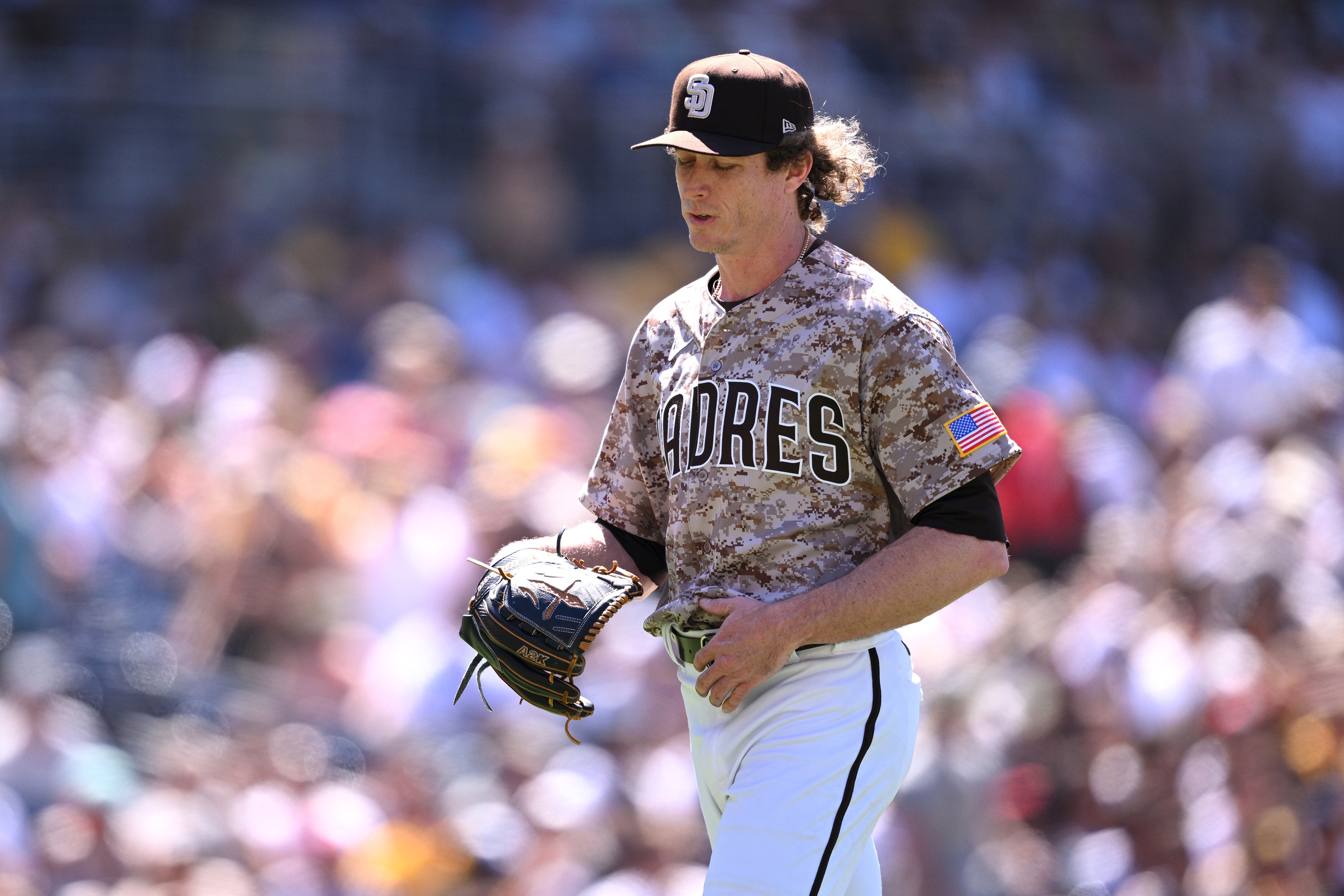 Padres Roster News Friars Back Tim Hill Among September Call