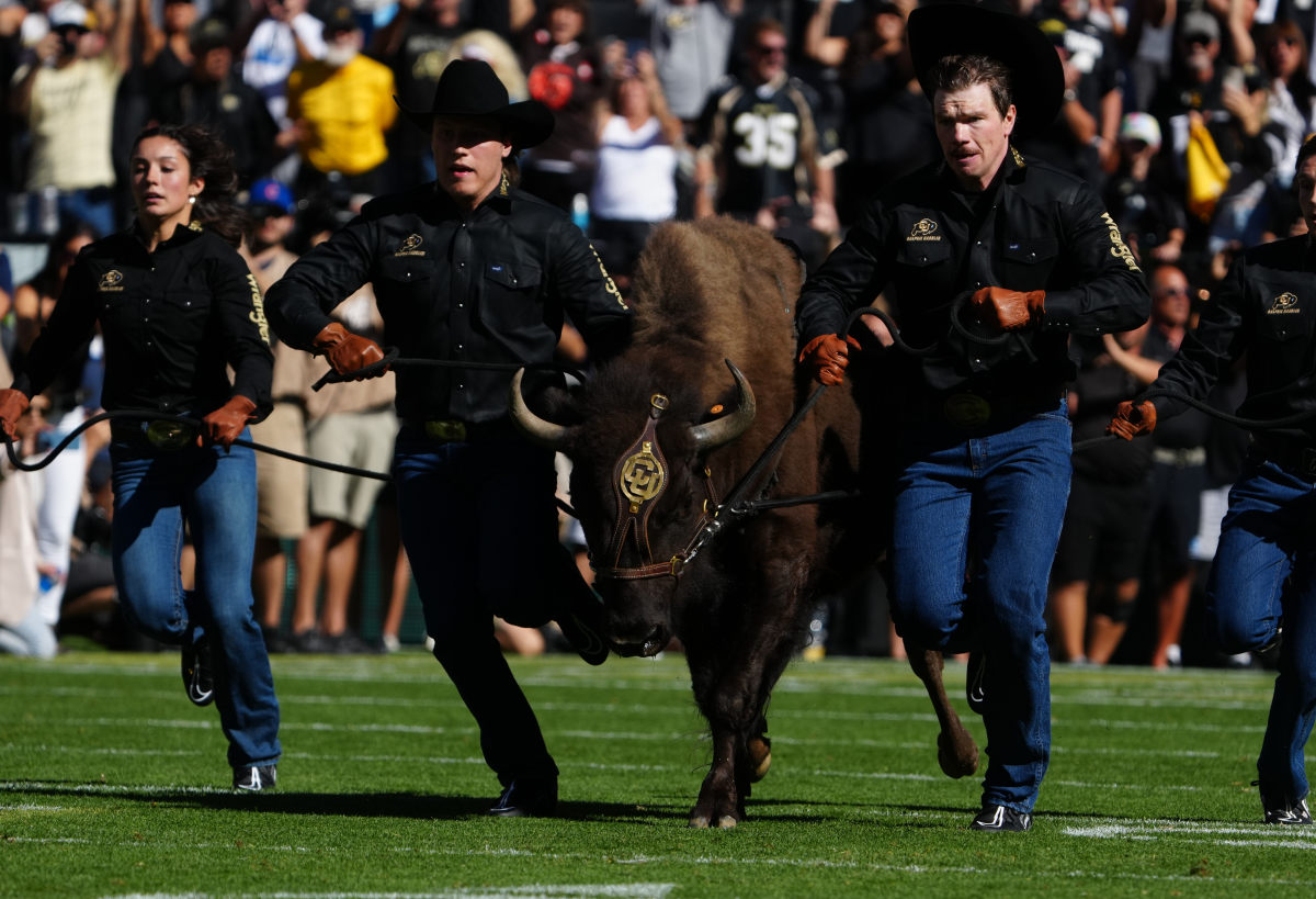 Colorado Buffaloes mascot Ralphie runs across the field before the game against the Nebraska Cornhuskers at Folsom Field