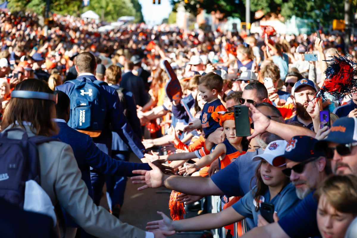 Tiger Walk