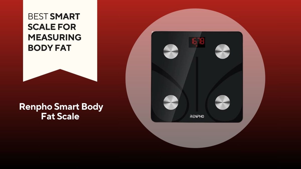Renpho Smart Body Fat Scale Review