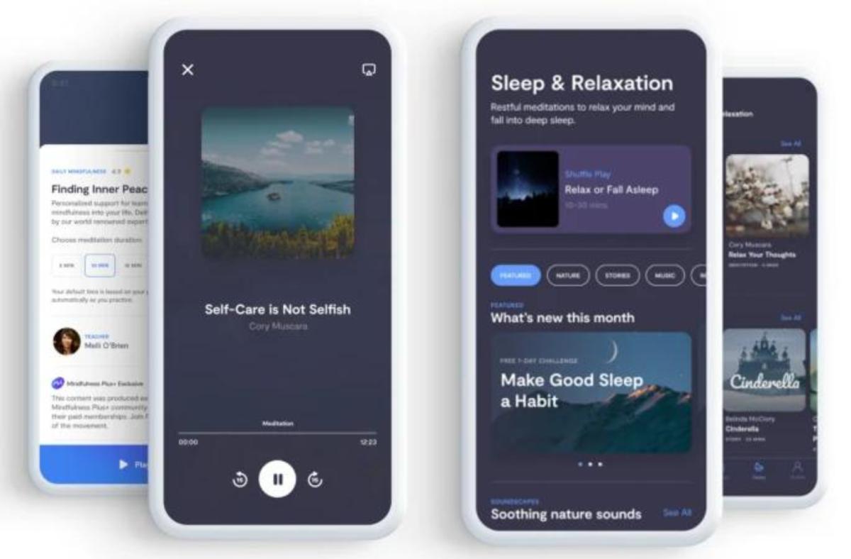 The Mindfulness App Interface