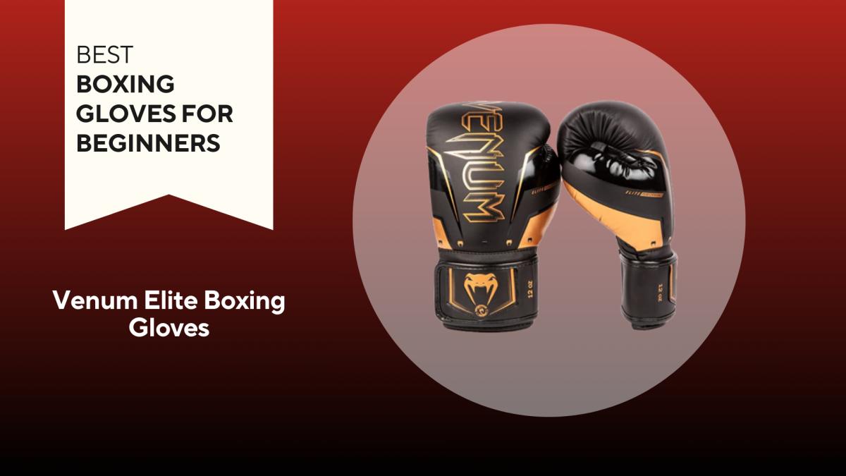 Venum Elite Boxing Gloves - Best Boxing Gloves for Beginners