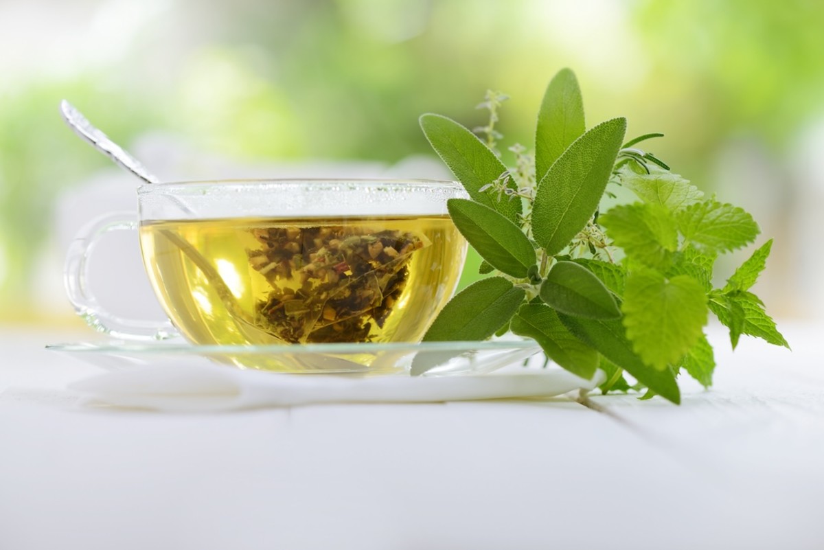 Green tea and green tea extract are commonly used as ingredients in the best weight loss supplements.