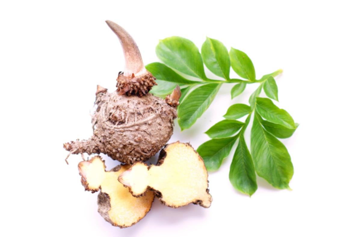 Glucomannan, derived from konjac root, is used as an ingredient in some weight loss supplements.