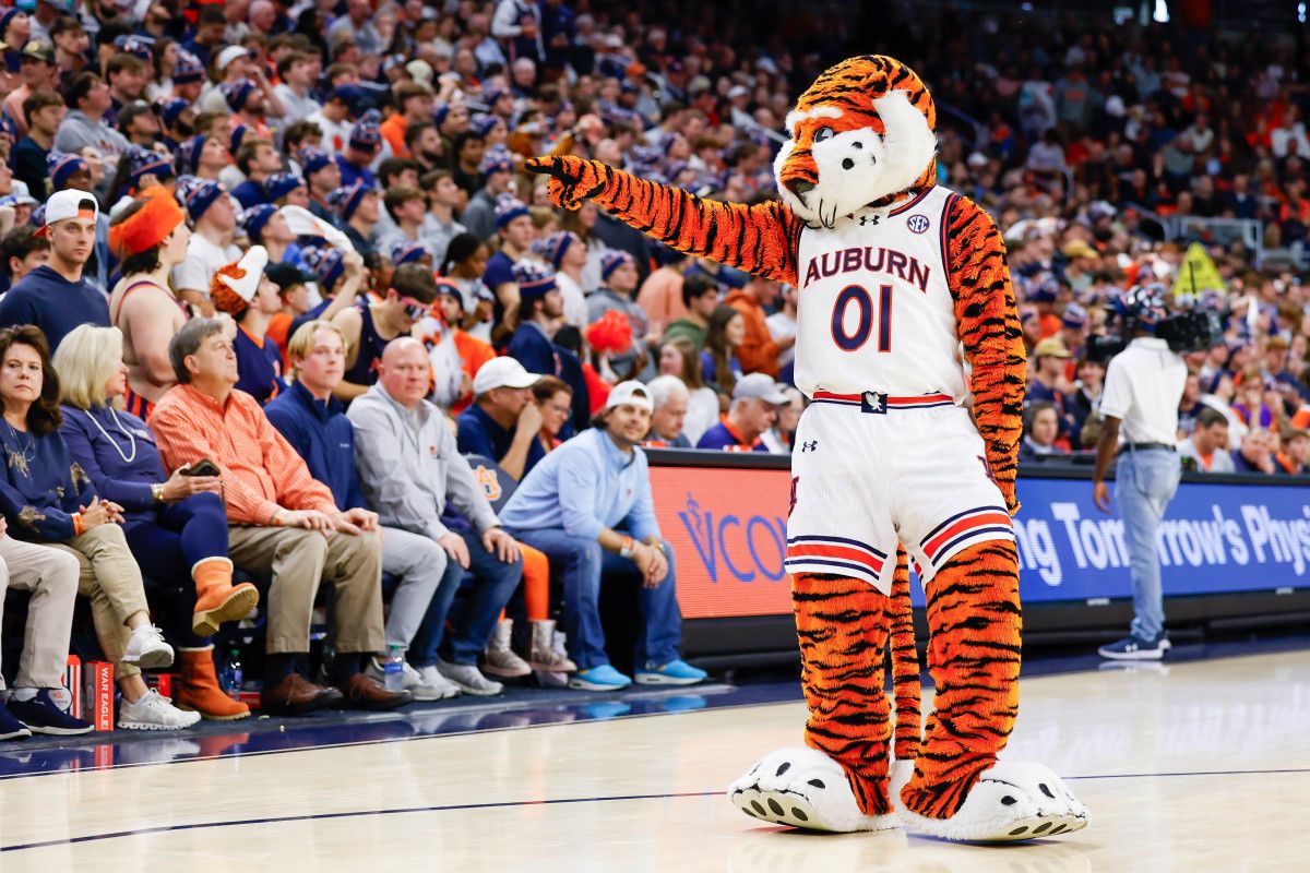 Aubie the Tiger