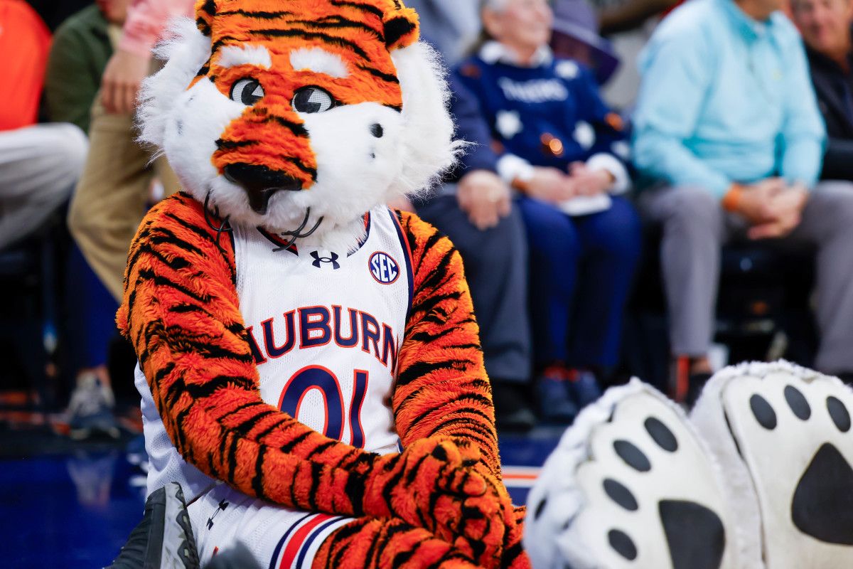 Aubie the Tiger